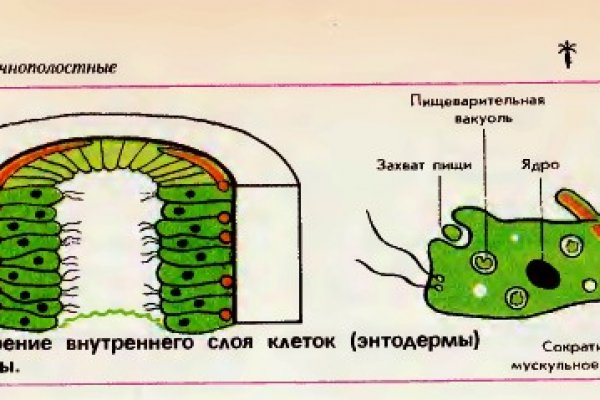 Кракен биржа