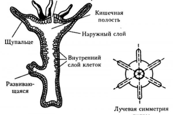 Как залить фото на кракен