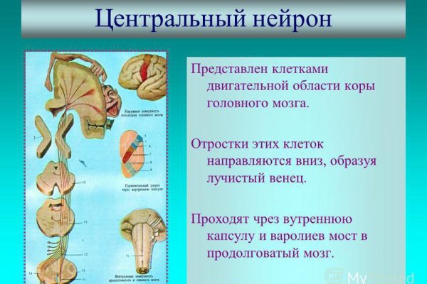 Как залить фото на блэкспрут в диспуте