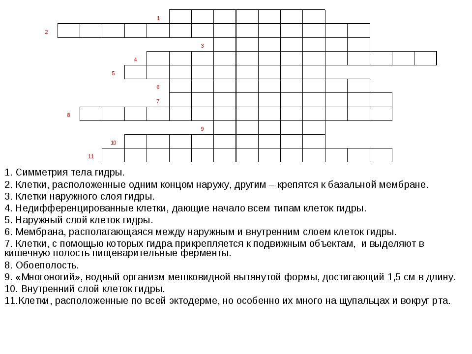 Kraken зеркало тор ссылка